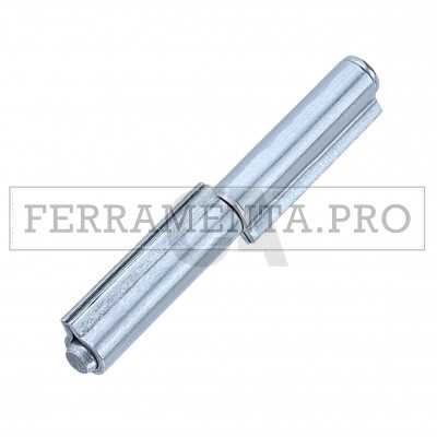 Cerniera 2 ali perno e rondella sfilabile zincata 100Z