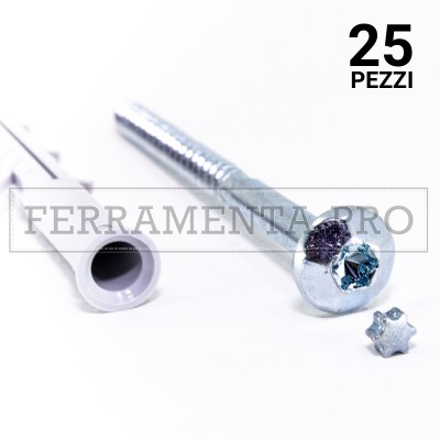 25 pezzi Tassello APS/V AM con vite 10 x 115 mm TASSELLO + VITE SICUREZZA ANTIMANOMISSIONE PROFESSIONALE APS/V AM