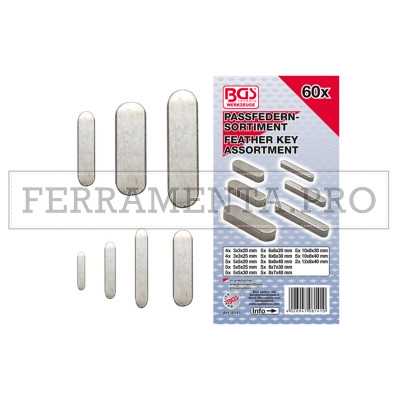 ASSORTIMENTO 60 PZ DI CHIAVETTE LINGUETTE PARALLELE per ALBERO MOTORE