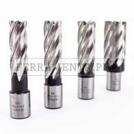 Fresa in acciaio M2 HSS Weldon da 12-65mm lunghezza 50mm