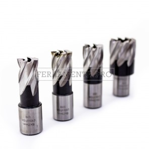 Fresa in acciaio M2 HSS Weldon da 12-65mm lunghezza 25mm