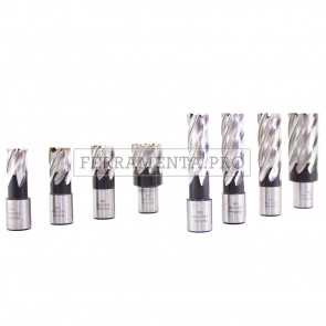 Fresa in acciaio M2 HSS Weldon da 12-65mm lunghezza 25-50mm