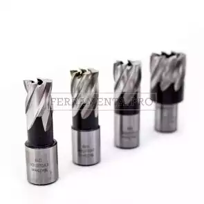 Fresa in acciaio M2 HSS Weldon da 12-65mm lunghezza 25mm