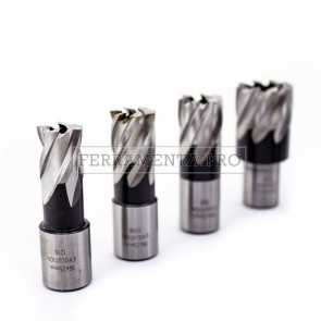 Fresa in acciaio M2 HSS Weldon da 12-65mm lunghezza 25mm