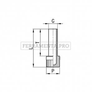 Camozzi 6900 10 - Accessorio Mod. 6900