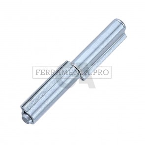 Cerniera 2 ali perno e rondella sfilabile zincata 100Z