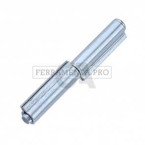 Cerniera 2 ali perno e rondella sfilabile zincata 100Z