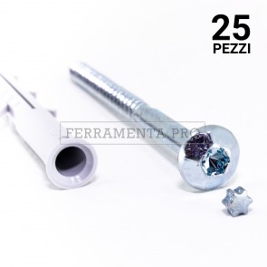 25 pezzi Tassello APS/V AM con vite 10 x 115 mm TASSELLO + VITE SICUREZZA ANTIMANOMISSIONE PROFESSIONALE APS/V AM