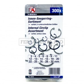 KIT ASSORTIMENTO 300 ANELLI ELASTICI SEEGER INTERNI 3-32mm PROFESSIONALI PERNI ALBERI