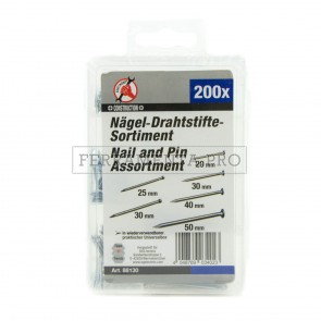 KIT ASSORTIMENTO SET 200 CHIODI QUADRO BRICOLAGE da 25 a 50 mm IN PORTAMINUTERIA
