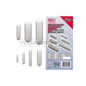 ASSORTIMENTO 60 PZ DI CHIAVETTE LINGUETTE PARALLELE per ALBERO MOTORE