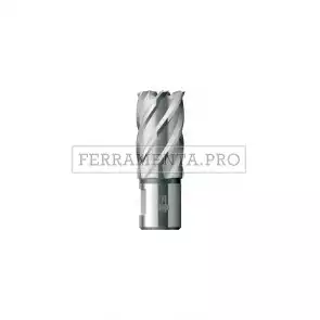 FRESA a CORONA SERIE CORTA BDS KBK per TRAPANO MAGNETICO con ATTACCO WELDON 19mm